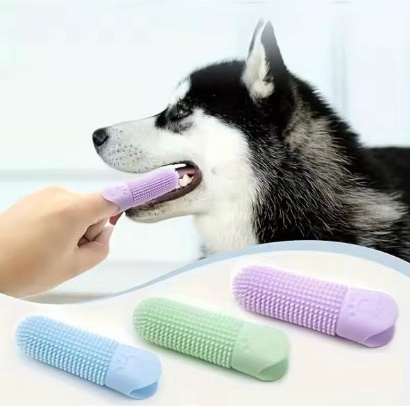 Brosse à Dents à Doigt en Silicone 360° – Chiens et Chats  Prix conseillé : 12,90€ l’unité, ou 19,90€ le lot de 2