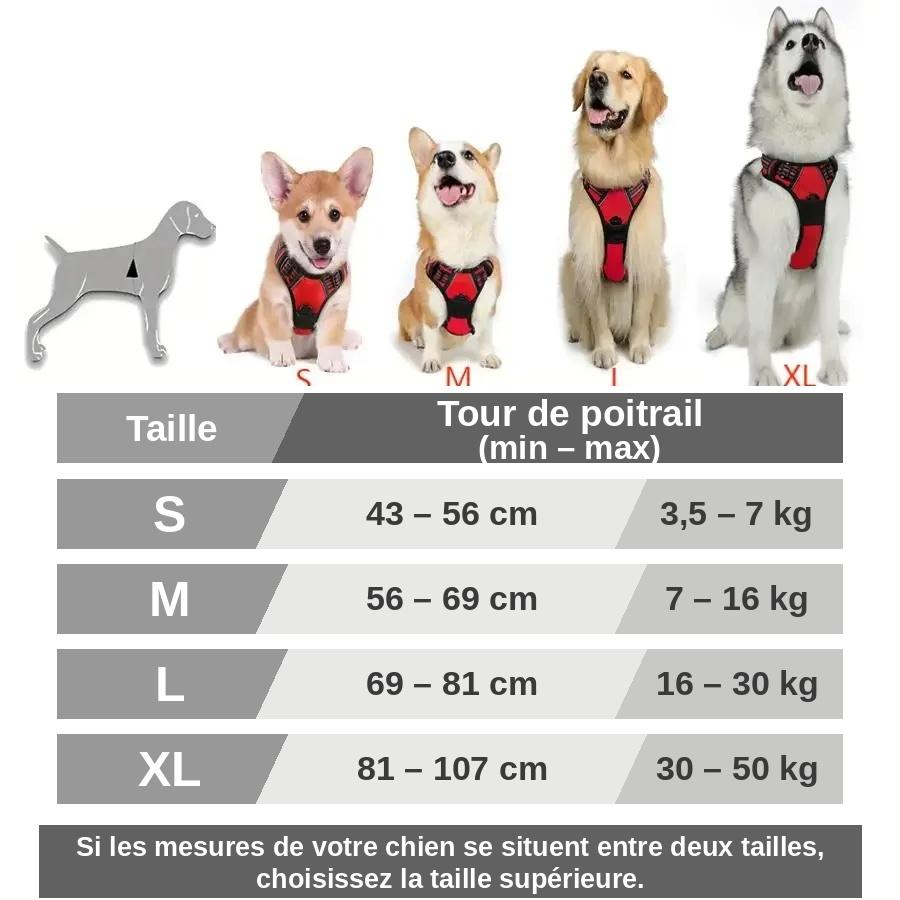 Harnais Anti-Traction Confort+ | Réglable & Réfléchissant
