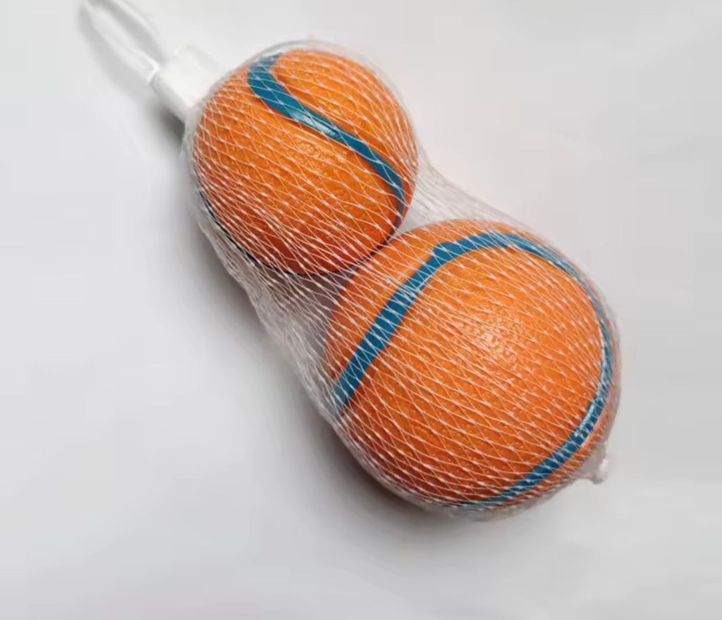 Balle Rebondissante Ultra-Résistante pour Chien – Idéale pour le Lancer