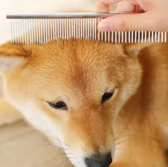 Peigne Démêlant en Acier Inoxydable – Chiens à poil long