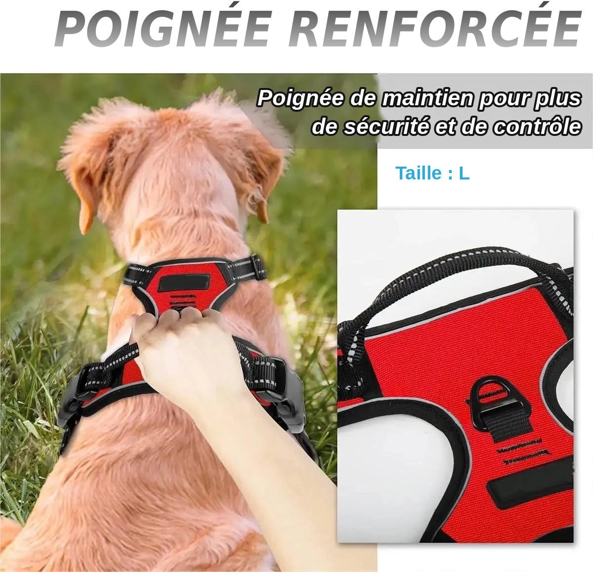 Harnais Anti-Traction Confort+ | Réglable & Réfléchissant