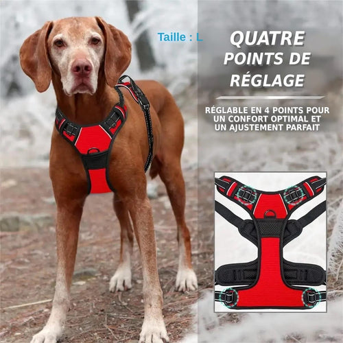 Harnais Anti-Traction Confort+ | Réglable & Réfléchissant