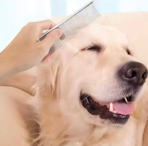 Peigne Démêlant en Acier Inoxydable – Chiens à poil long